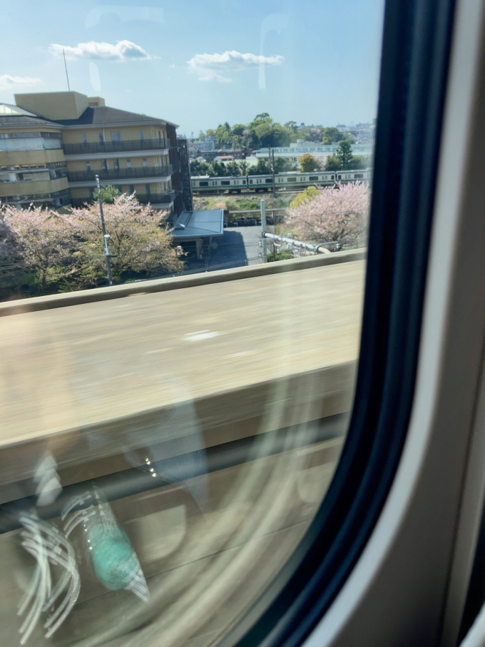 鉄道乗車記録の写真:車窓・風景(2)        「上野駅を出発し、トンネルを抜けた先(赤羽駅手前)で撮影。(撮影時刻は13:52)
乗車日の時点では、まだ桜が楽しめるような状況だと感じた。
奥には埼京線の電車も見える。赤羽駅13:51発のりんかい線へ直通する快速新木場行き(1348F)または赤羽駅13:53発の各駅停車大宮行き(1325K)と思われる。」