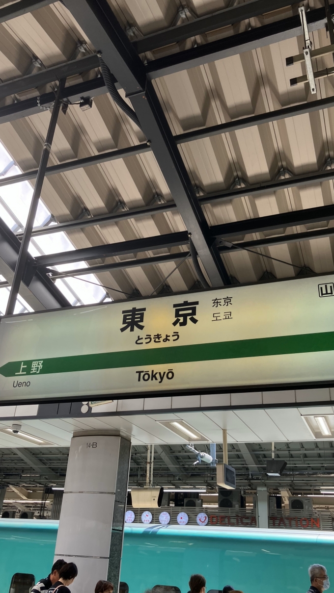 鉄道乗車記録の写真:駅名看板(5)        「東京駅の駅名標。」