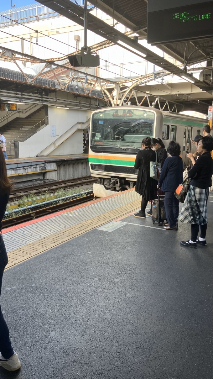 鉄道乗車記録の写真:乗車した列車(外観)(2)        「上野駅7番線に入線する、上野東京ラインの列車。」