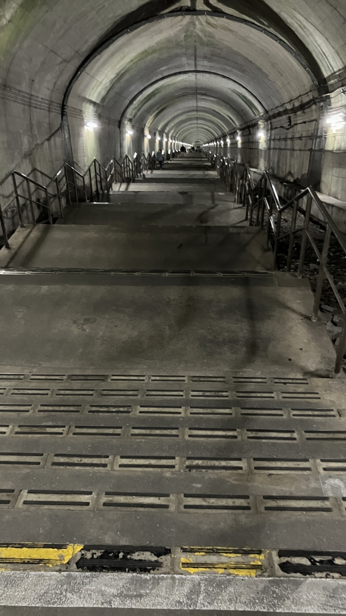 鉄道乗車記録の写真:駅舎・駅施設、様子(14)        「土合駅の下りホームに続く階段。
ここから462段の階段が続く。」
