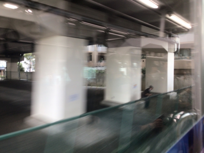 鉄道乗車記録の写真:車窓・風景(4)        「宿河原駅―久地駅間で撮影した窓から見える橋脚の様子。
この写真はiPadで撮影したのだが、Wi-FiモデルのためGPSが搭載されておらず、撮影地を調べるのが大変だった。
おそらく東名高速道路(E1)の川崎高架橋の橋脚、場所としては東京料金所―東京IC間であろう。」