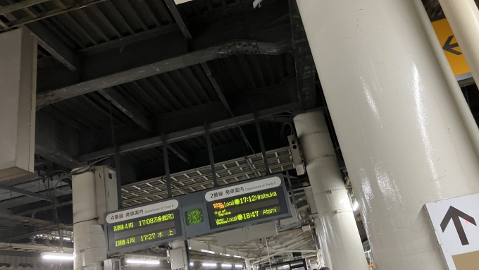 鉄道乗車記録の写真:駅舎・駅施設、様子(4)        「乗車してきた列車を降りた直後に発車標を撮影した。
乗車してきた列車は折返し17:12発湘南新宿ライン経由普通平塚行きになるようだった。高崎線から湘南新宿ラインへ行く(特別快速でない)列車は、時刻表では「快速」と表示されることが多いが、大宮駅までは案内も発車標の表示も「普通」扱いであるためわかりにくいと感じる。(例えば、京浜東北線や根岸線の快速電車で、下りの大宮―田端間、上りの大船―浜松町間は各駅に停車するが、案内上の種別は「快速」であるので、違いが大きいと感じる)」