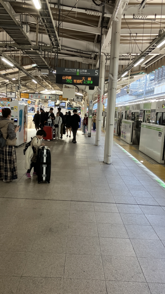 鉄道乗車記録の写真:駅舎・駅施設、様子(1)          「京浜東北線の電車を待っていたところ、隣の5番線に山手線の電車が入ってきた。
この日は山手線外回りは運休の対象にはなっていなかったのだが、珍しい大崎行きの電車を見ることができた。」