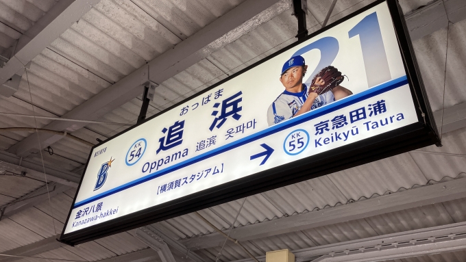 鉄道乗車記録の写真:駅名看板(2)        「追浜駅の駅名標。
なお、横須賀スタジアムへは追浜駅から徒歩約20分、または京浜急行バスを利用して約10分で行けるという。」