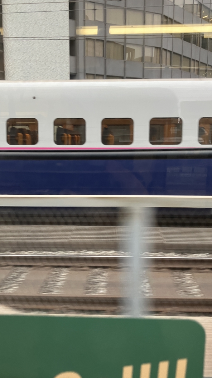 鉄道乗車記録の写真:列車・車両の様子(未乗車)(5)        「一時E2系新幹線とも並走した。
これはE2系とE3系を併結し、17両編成で運転されるなすの260号東京行きのようである。珍しくグランクラスの設定がない。」
