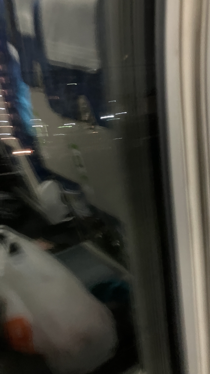 鉄道乗車記録の写真:車窓・風景(6)        「北浦和―与野駅間で撮影したようである。
景色を撮影しようとしたが、鮮明には撮影できなかった。」