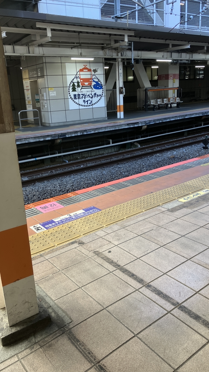 鉄道乗車記録の写真:駅舎・駅施設、様子(3)        「「東京アドベンチャーライン」を示す塗装が向かい側のホームになされていた。
「東京アドベンチャーライン」は青梅線の愛称のようである。」