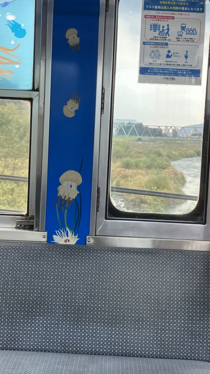 鉄道乗車記録の写真:車窓・風景(9)        「丸山下駅―富士山下駅間では渡良瀬川を渡る。
そのときの南側の車窓。橋梁が見えるが、これはJR両毛線とわたらせ渓谷線のものである。」