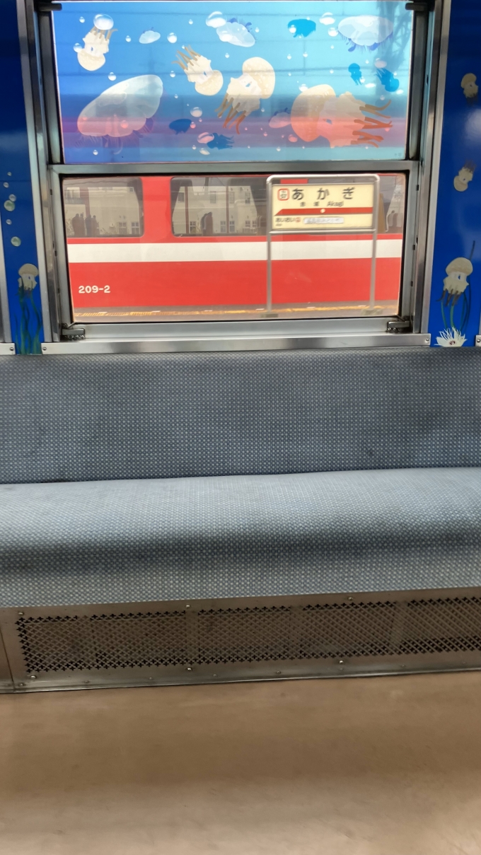 鉄道乗車記録の写真:列車・車両の様子(未乗車)(12)        「車内から赤城駅(東武)側を撮影した。
駅名標のほか、10:00発でこの列車と接続する特急りょうもう20号浅草行きとなる列車の車両も撮影することができた。」