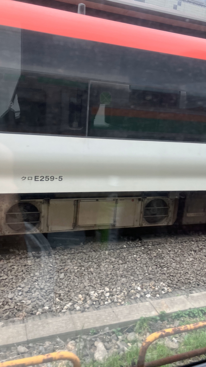 鉄道乗車記録の写真:列車・車両の様子(未乗車)(6)        「新宿駅到着直前に撮影した、当時新宿駅周辺で停車中だったと思われるE259系の車両。
」
