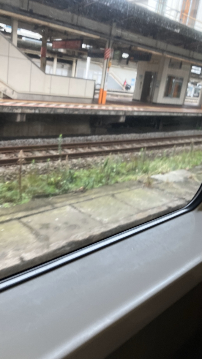 鉄道乗車記録の写真:駅舎・駅施設、様子(1)        「茅ケ崎駅発車直後に撮影したと思われる。
茅ケ崎駅は特別快速停車駅としては小田原駅から3駅目になっており、平日のみ運行の特急湘南の停車駅にもなっているようだ。」