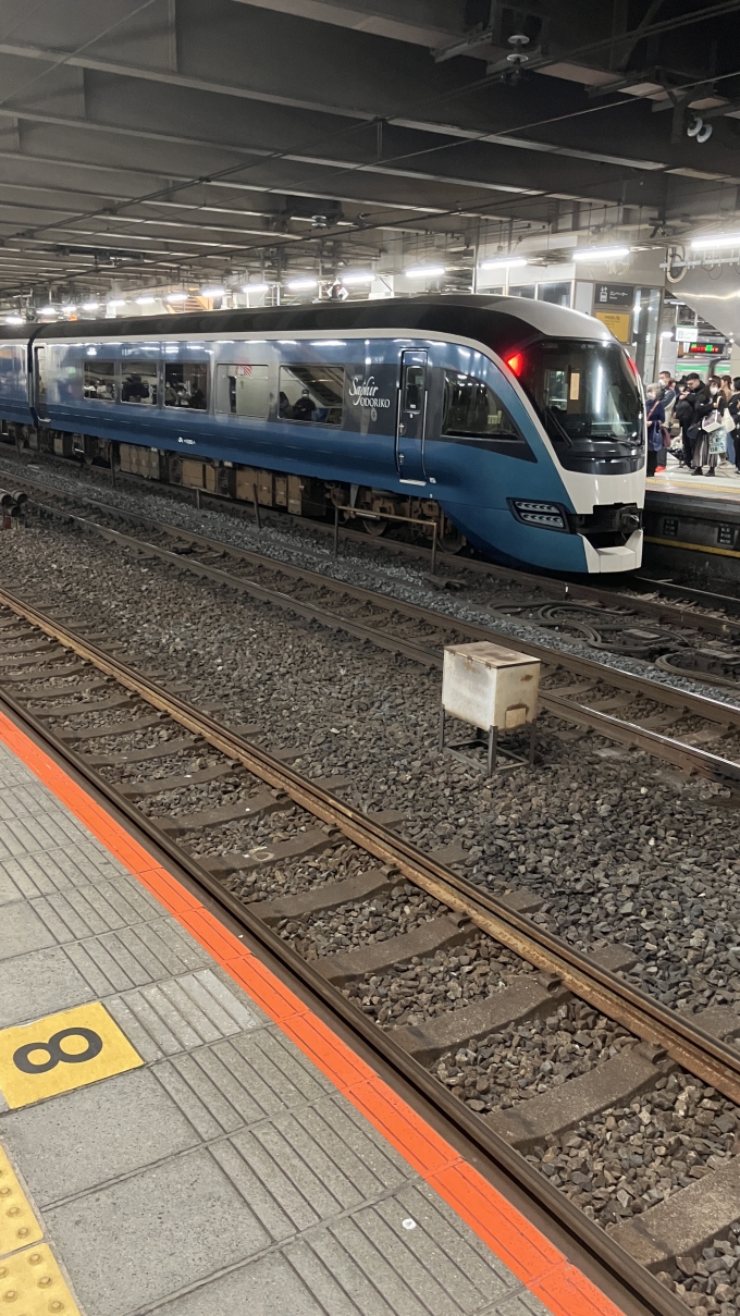 鉄道乗車記録の写真:列車・車両の様子(未乗車)(2)        「乗車した列車を待っていたときに撮影した。
特急「サフィール踊り子」で使われるE261系列車が停車していた。
営業運転は行っておらず、このあと回送列車になった。
なお、「サフィール踊り子」は東海道本線などで運行される全車グリーン車指定席の特急であり、大回り乗車では東京駅―横浜駅間で利用できると思われる。」