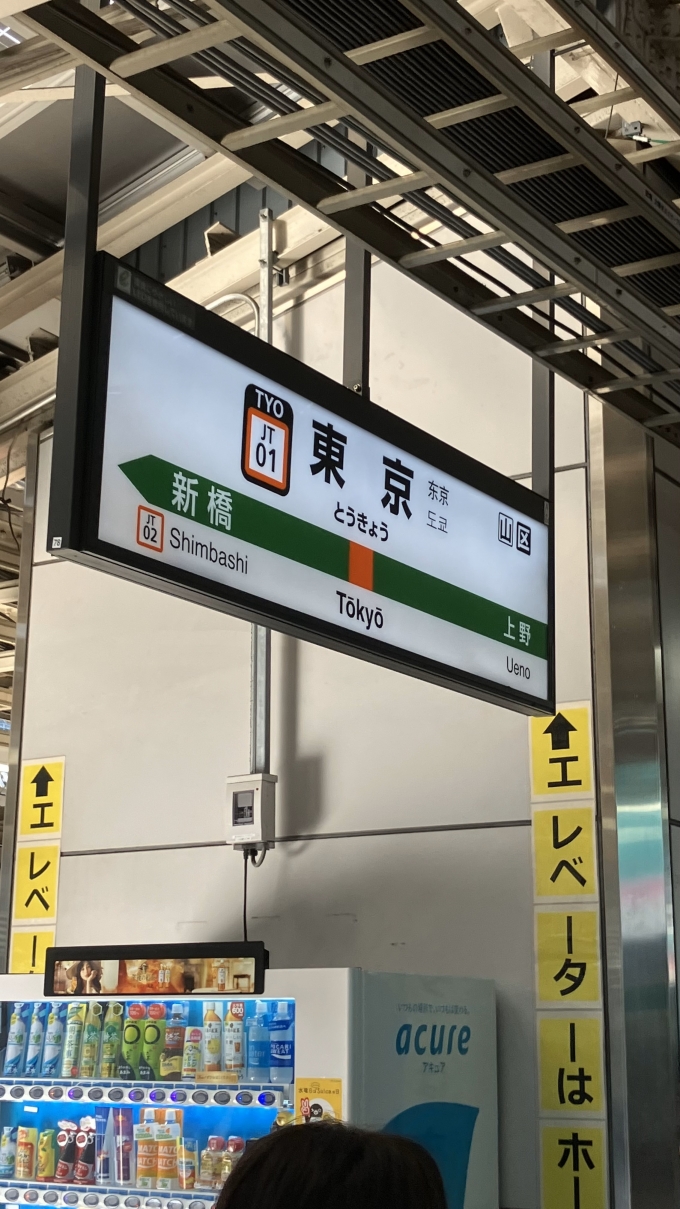 鉄道乗車記録の写真:駅名看板(1)        「東京駅の東海道本線ホームの駅名標。」