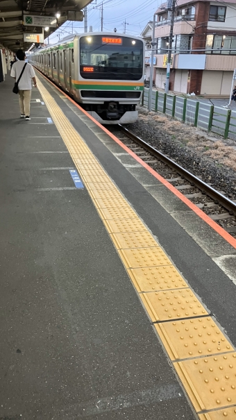 東大宮駅から小山駅の乗車記録(乗りつぶし)写真