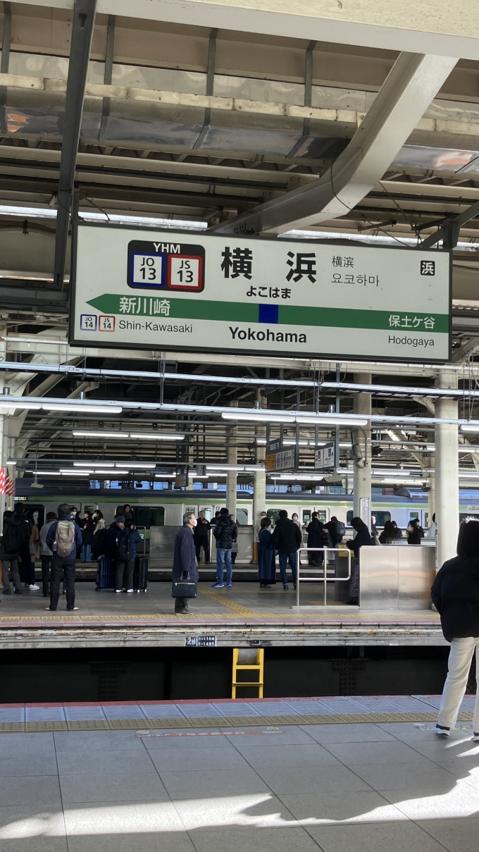鉄道乗車記録の写真:駅名看板(1)        「横浜駅の湘南新宿ライン・横須賀線ホームの駅名標。」