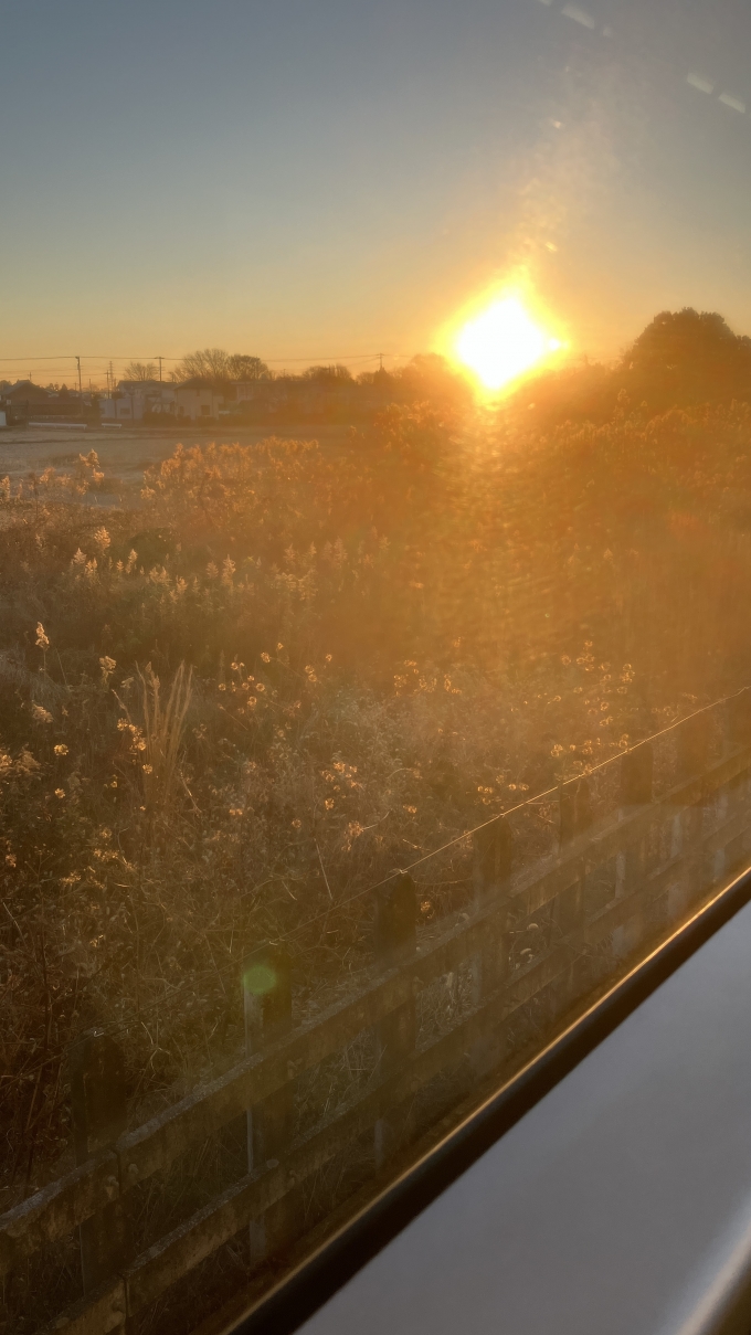 鉄道乗車記録の写真:車窓・風景(3)        「用土駅停車中に撮影した。
撮影時刻は7:08。日の出からは約15分経過していた。
太陽に照らされる草花がきれいだと感じた。」