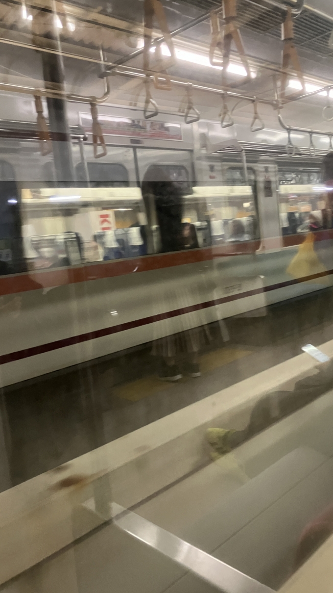 鉄道乗車記録の写真:列車・車両の様子(未乗車)(1)          「わかりにくいかもしれないが、栃木駅停車中に東武鉄道の特急きぬ139号鬼怒川温泉行き(1139)とすれ違った。」