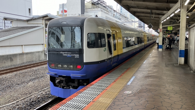 鉄道乗車記録の写真:乗車した列車(外観)(9)        「特急しおさい10号が錦糸町駅を出発するときに撮影した。」