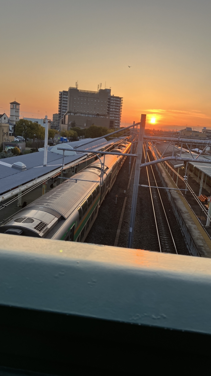 鉄道乗車記録の写真:列車・車両の様子(未乗車)(2)        「朝日に照らされる上り列車。
この列車は、上野東京ライン経由の普通品川行き(1837E)と思われる。」