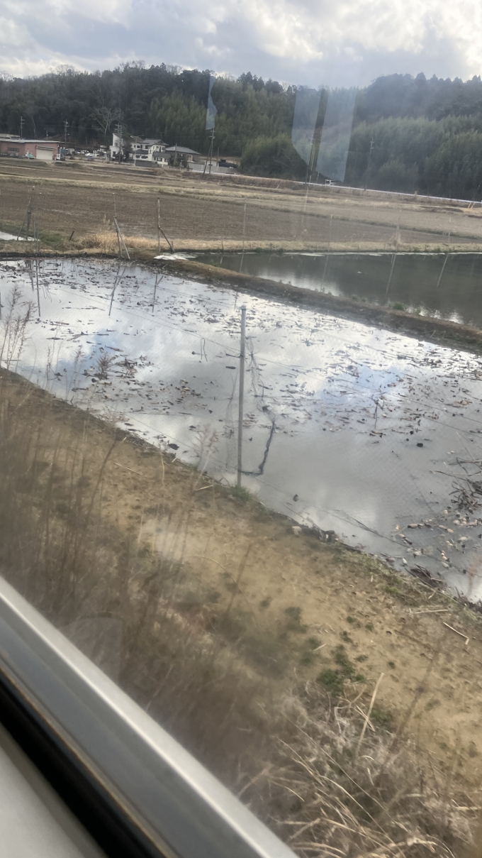 鉄道乗車記録の写真:車窓・風景(8)        「成田線の沿線では、レンコンを栽培していると思われる水田もみられた。
成田市のうち、下総地区ではレンコンが特産品の一つになっているという。」