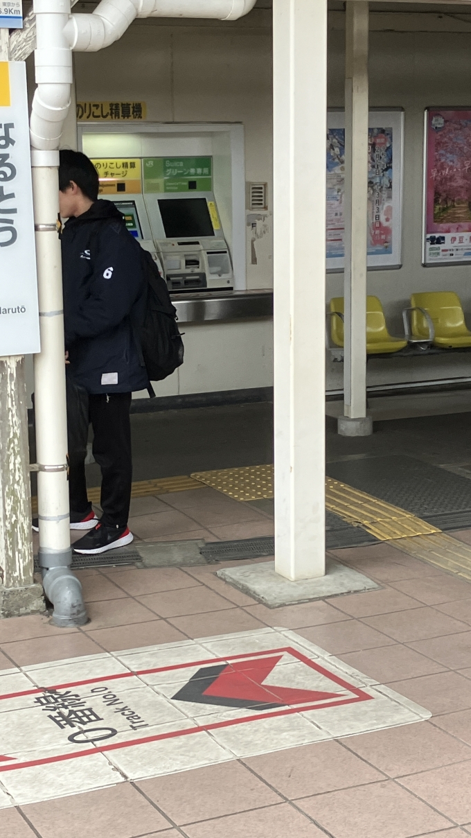 鉄道乗車記録の写真:駅舎・駅施設、様子(4)        「成東駅では、乗り越し精算機とSuicaグリーン券券売機が並んで設置されていた。
なお、成東駅からは1日1本総武線に直通する快速東京行きの列車がある。
ちなみに、この駅で東金線に乗り換えて千葉駅へ行くこともできる。」
