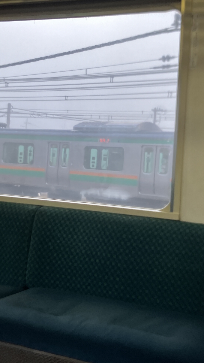 鉄道乗車記録の写真:列車・車両の様子(未乗車)(7)        「小山駅の手前で一時湘南新宿ライン経由普通逗子行き(2525Y)と並走した。
本来は乗車していた両毛線の列車が小山駅6:51着、湘南新宿ラインの列車が小山駅6:52着―6:53発となっており、並走することは考えにくいのだが、乗車していた両毛線の列車が濃霧の影響で遅延したため並走が見られた。」