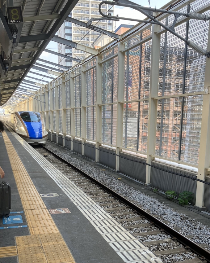 鉄道乗車記録の写真:乗車した列車(外観)(1)        「今回乗車した列車が高崎駅に入ってくる様子を撮影した。」