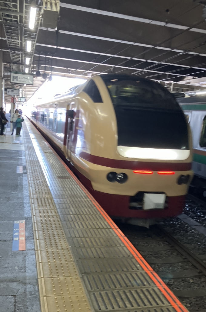 鉄道乗車記録の写真:乗車した列車(外観)(10)        「乗車してきた列車が大宮駅を出発する時に撮影した。
この列車は、このあと成田駅まで客扱いは行わないようだ。」