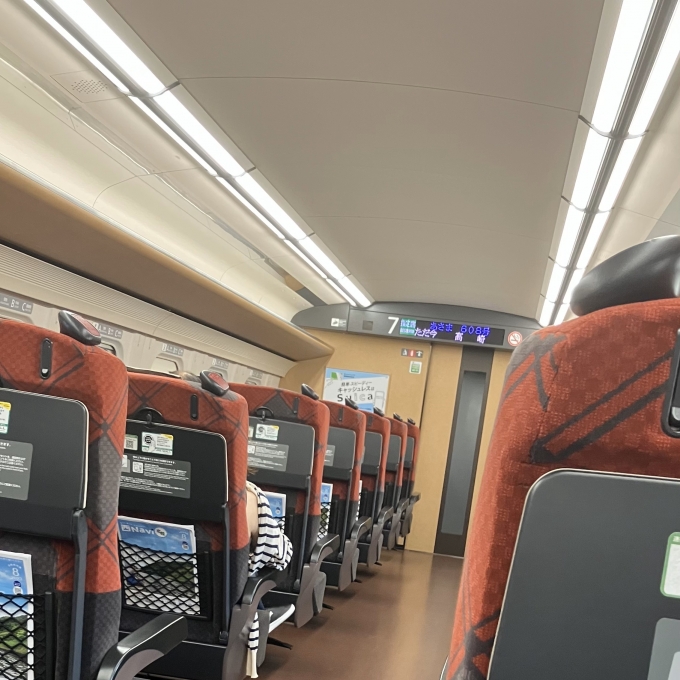 鉄道乗車記録の写真:車内設備、様子(5)     「乗車した列車が高崎駅に停車しているときの車内の様子。」