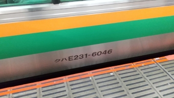 大宮駅から恵比寿駅(湘南新宿ライン経由):鉄道乗車記録の写真