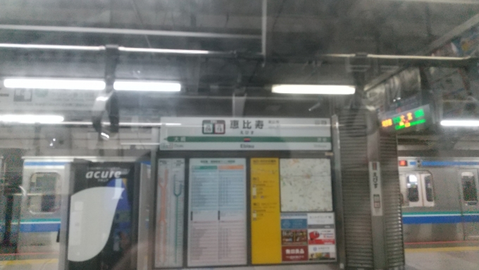 鉄道乗車記録の写真:駅名看板(5)        「恵比寿駅の駅名標を撮影したが、ドアが開く直前に撮影してピントがあまりあっておらず、見えにくいかもしれない。」