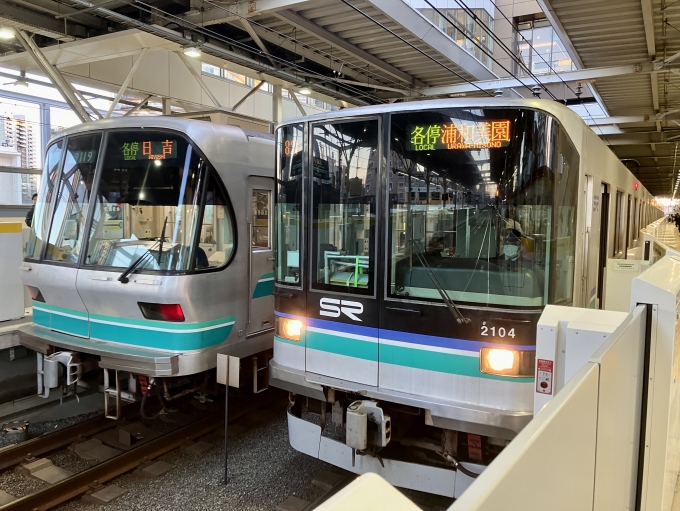 鉄道乗車記録の写真:乗車した列車(外観)(1)        「2104F(左)と9119F(右)の目黒/浦和美園寄り先頭部」