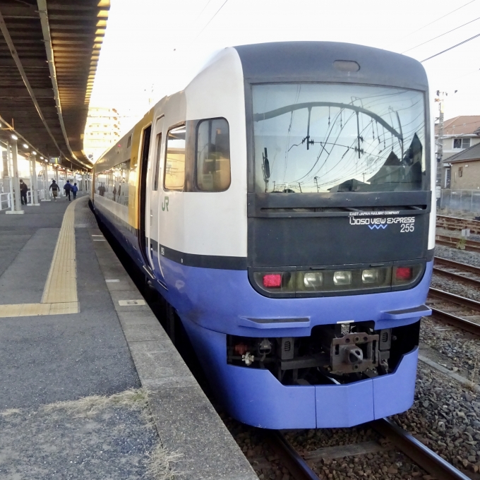 鉄道乗車記録の写真:乗車した列車(外観)(2)        「Be05(クハ255-5) の後面」