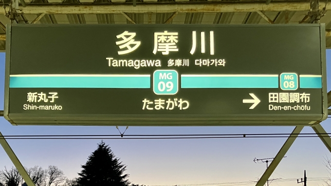 鉄道乗車記録の写真:駅名看板(2)        「多摩川 の駅名標」