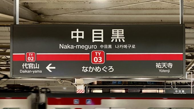 鉄道乗車記録の写真:駅名看板(3)        「中目黒 の駅名標」