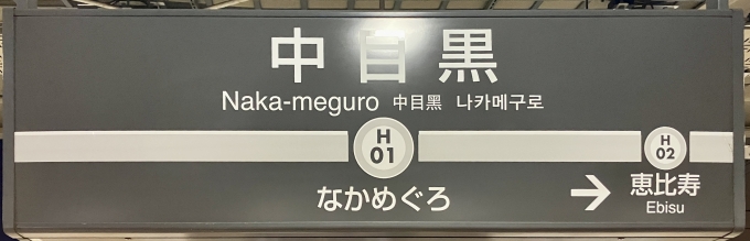 鉄道乗車記録の写真:駅名看板(3)        「中目黒 の駅名標
東急の管轄の駅なので東急風の駅名標。」