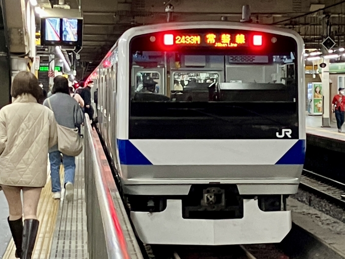 鉄道乗車記録の写真:乗車した列車(外観)(1)          「K406(クハE530-6) の後面
2433M 常磐線 の幕
上野駅の10番線で発車待ちをしている様子」