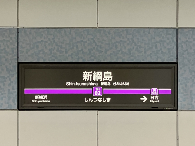 鉄道乗車記録の写真:駅名看板(3)        「新綱島 の駅名標」