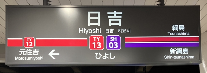 鉄道乗車記録の写真:駅名看板(3)        「日吉 の駅名標
2路線に分岐するタイプ」
