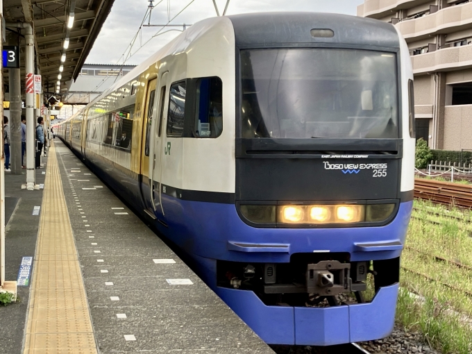 鉄道乗車記録の写真:乗車した列車(外観)(1)        「クハ254-1 の前面
引退間近の255系」