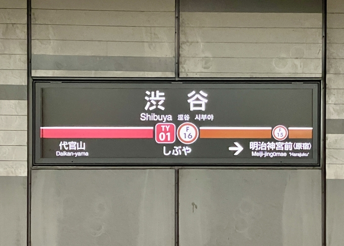 鉄道乗車記録の写真:駅名看板(3)        「渋谷 の駅名標」