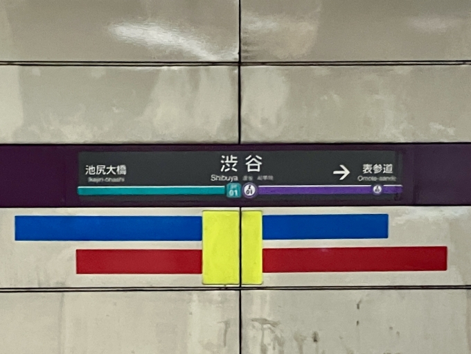 鉄道乗車記録の写真:駅名看板(1)          「渋谷 の駅名標」