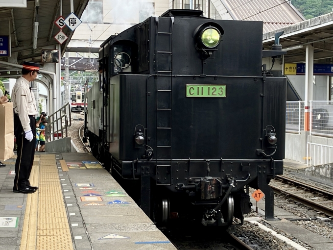 鉄道乗車記録の写真:旅の思い出(7)        「C11 123 の後面
入れ替え作業中
後ろには6050系も見える」