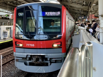 中目黒駅から東銀座駅の乗車記録(乗りつぶし)写真