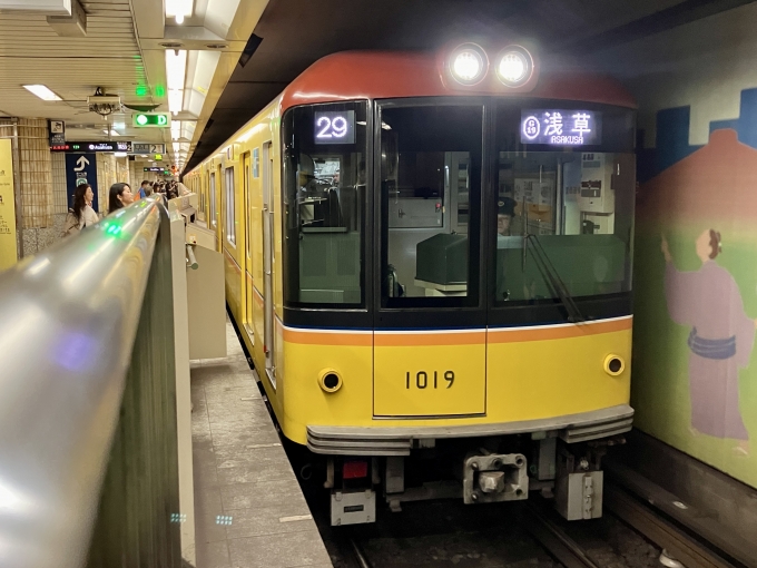 鉄道乗車記録の写真:乗車した列車(外観)(1)          「1119F(1019) の前面
29 G19 浅草 の幕」