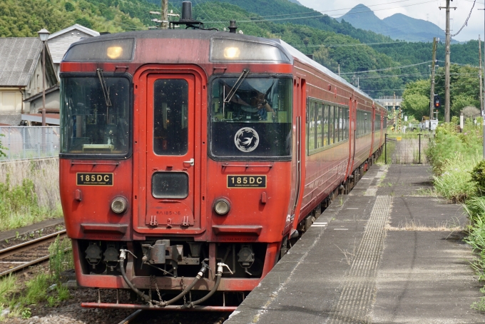 鉄道乗車記録の写真:乗車した列車(外観)(1)          「キハ185-16 の前面
特急ゆふ の幕」