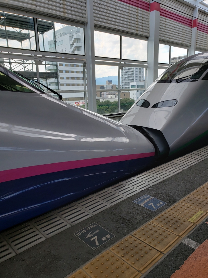 鉄道乗車記録の写真:乗車した列車(外観)(1)        「お久しぶりのE2系ちゃん」