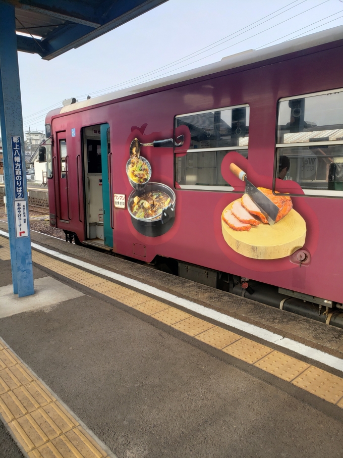 鉄道乗車記録の写真:乗車した列車(外観)(2)     「食品サンプル号」