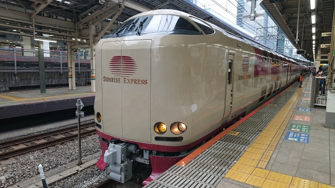鉄道乗車記録の写真:乗車した列車(外観)(4)        「東京駅到着」