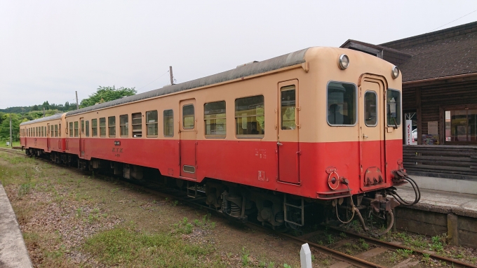 鉄道乗車記録の写真:乗車した列車(外観)(1)        「小湊鐡道」
